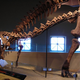 Illustration for article titled Paleontologists Are 3-D Printing Life-Sized Dinosaur Robots